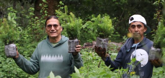 Semarnath conmemora el 44 aniversario del Parque Nacional El Chico con la plantación de 3 mil 500 árboles