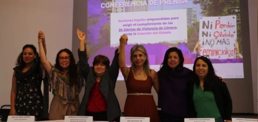Organizaciones exigen fortalecer las Alertas de Violencia de Género y actualizar su reglamento